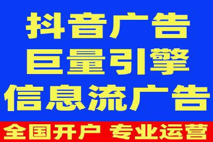 百度竞价与搜索引擎优化（SEO）结合的经典案例